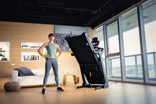 Load image into Gallery viewer, SOLE FITNESS TREADMILL - F63