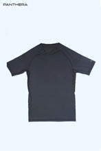 Load image into Gallery viewer, CLASSIC PERFORMANCE T-SHIRT (GRAY)