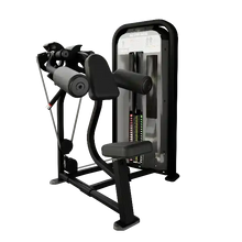 Load image into Gallery viewer, Nautilus Impact Deltoid Raise | Shoulder Strength Machine