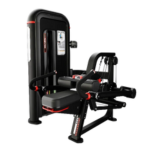 Load image into Gallery viewer, Inspiration Tricep Dip | Commercial Gym Strength Equipment