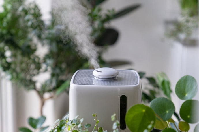 Combatting Pakistan’s Air Pollution Crisis: Can Home Air Purifiers Make a Real Difference?
